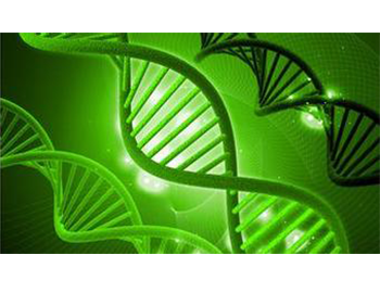 DNA分解仪实时图谱系统